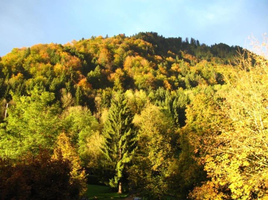 Top! Wohnung Direkt Am Fuss Der Berge Im Oberallgaeu Immenstadt im Allgäu Exterior foto