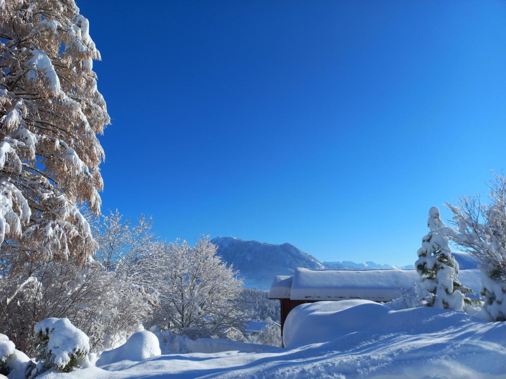 Top! Wohnung Direkt Am Fuss Der Berge Im Oberallgaeu Immenstadt im Allgäu Exterior foto