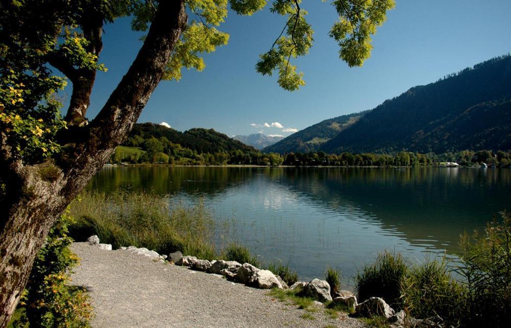 Top! Wohnung Direkt Am Fuss Der Berge Im Oberallgaeu Immenstadt im Allgäu Exterior foto